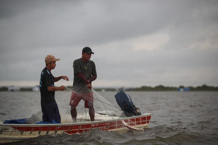 materia pescadores