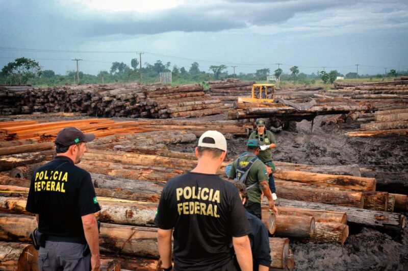 No Pará, PF apreende madeira que pode ter sido extraída de terra indígena
