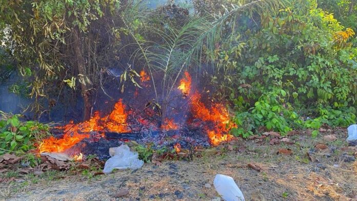 queimada 2 MPAM cobra do IPAAM dados dos responsáveis por queimadas ilegais no Amazonas