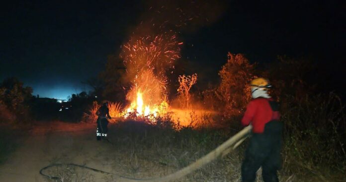 bombeiros Corpo de Bombeiros combate 23 incêndios em áreas de vegetação em Manaus