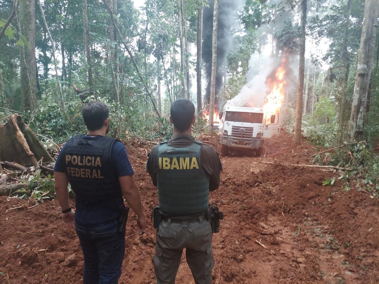 Operação Porto Amazônico realizada pela PF e IBAMA combate desmatamento na Amazônia