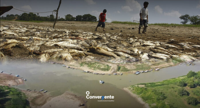 Amazônia, Água, Brasil, Média Histórica, Seca,