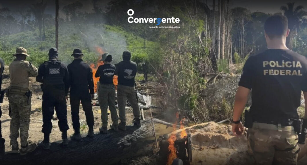 Crimes ambientais, operação, Ilegal, Ibama, Policia Federal