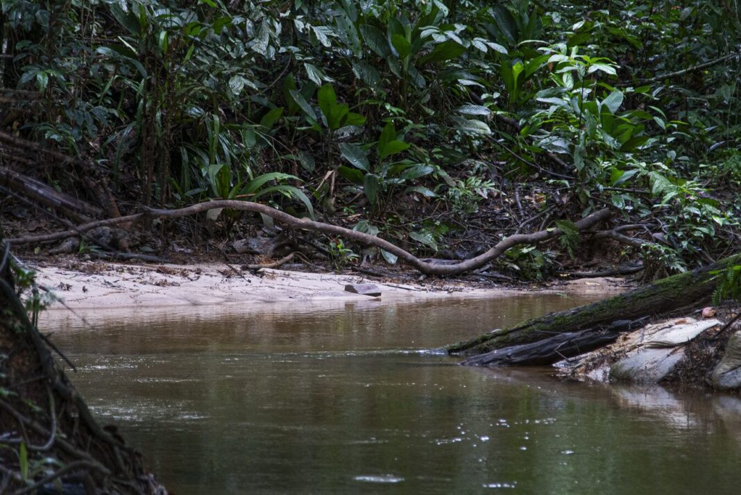 igarapes, projeto de lei