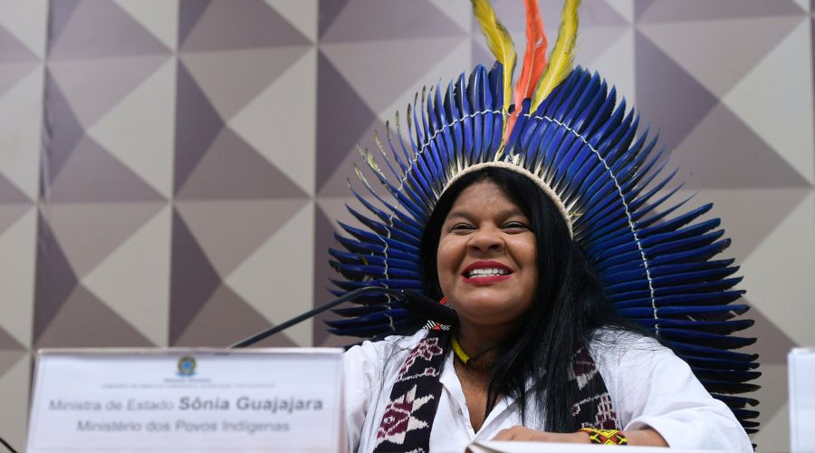 Sonia Guajajara, Presidente, Fundo Indígena, Latino-Americano,