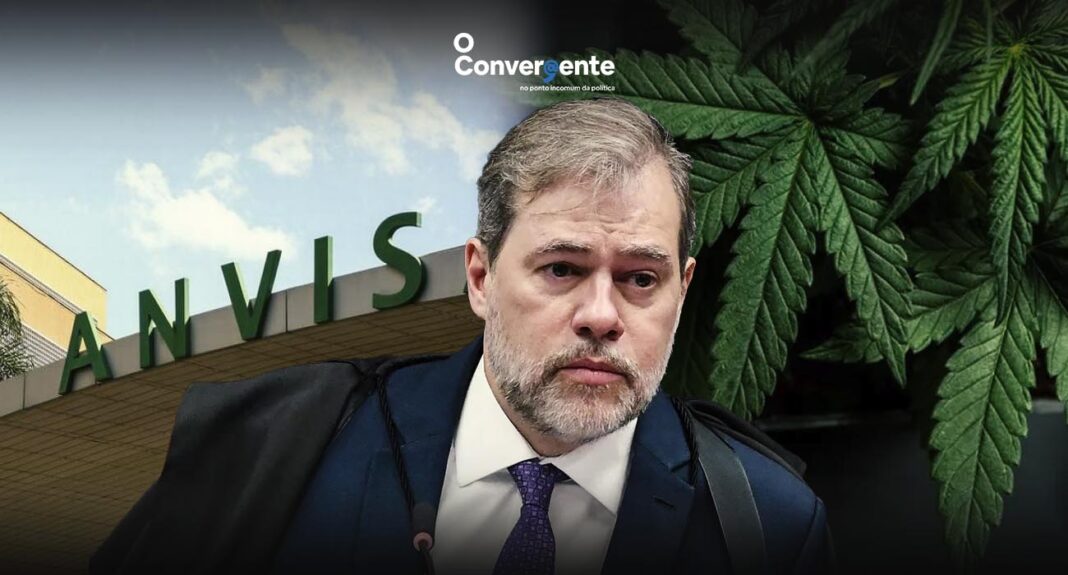 Anvisa, Brasil, Dias Toffoli, Descriminalização da Maconha, STF,