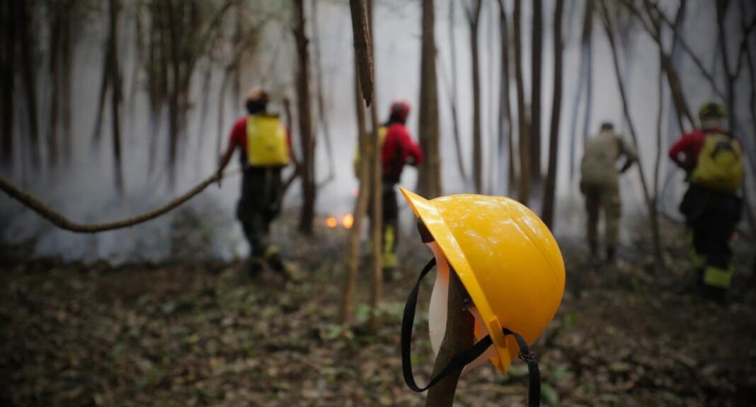 O Ministério Público do Estado do Amazonas (MPAM), instaurou, por meio da Promotoria de Justiça de Boa Vista do Ramos, um procedimento administrativo para fiscalizar as ações preventivas e repressivas contra incêndios e queimadas ilegais no município, além de monitorar a qualidade do ar no Dia de Combate à Poluição, implementado no dia 14 de agosto, última terça-feira.