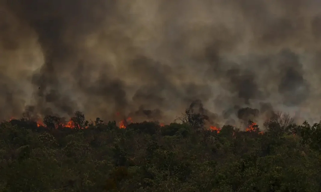 queimadas Amazônia