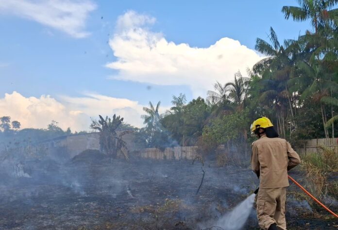 Operacao-Aceiro-2024-combate-4.276-focos-de-incendio-no-Amazonas queimadas