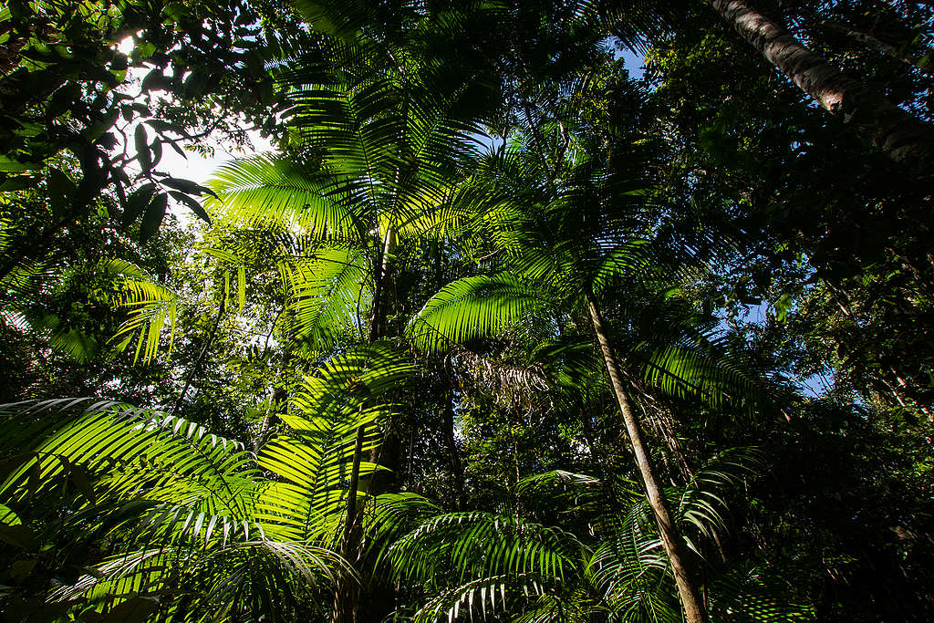 sustentável cidades