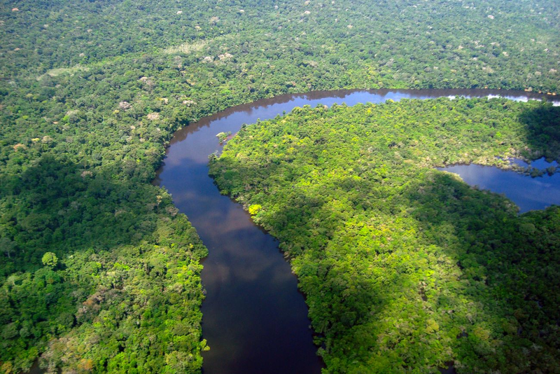 Amazônia