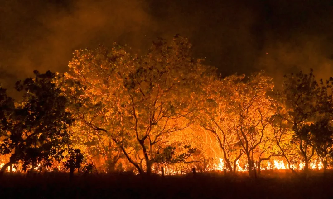 Amazônia incêndios