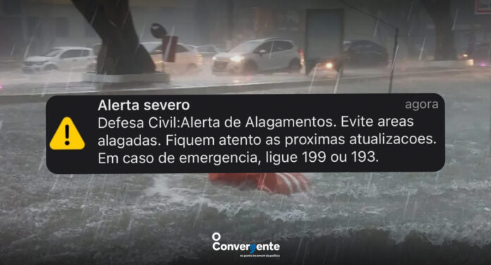 capas manaos