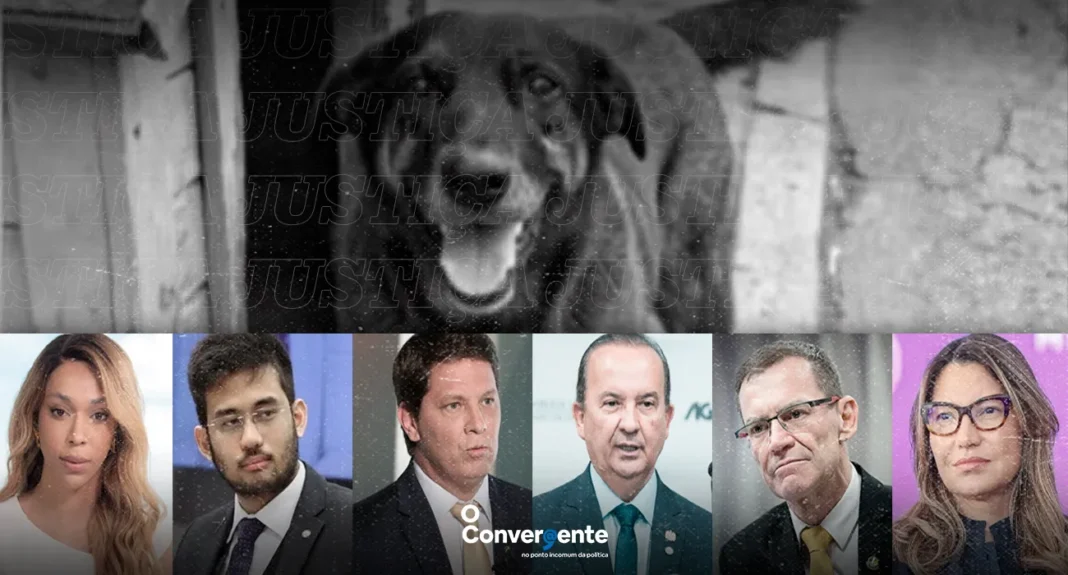 Políticos - esquerda - direita - Justiça