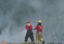 Fogo em área de vegetação no Coroado mobiliza bombeiros em Manaus
