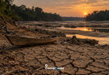 Estiagem avança no Amazonas: sete municípios estão em emergência e previsão indica pouca chuva